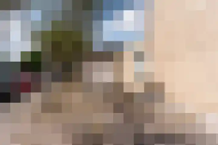 Hoolstraat 32 Eersel thumbnail 29