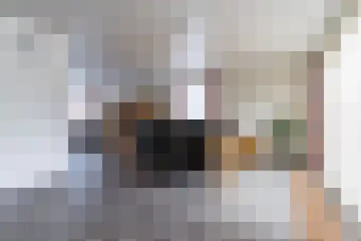 Hoolstraat 32 Eersel thumbnail 8
