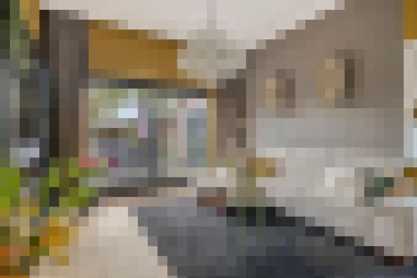 Hoolstraat 35 Teteringen thumbnail 11