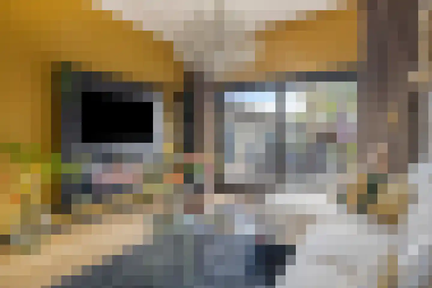 Hoolstraat 35 Teteringen thumbnail 12