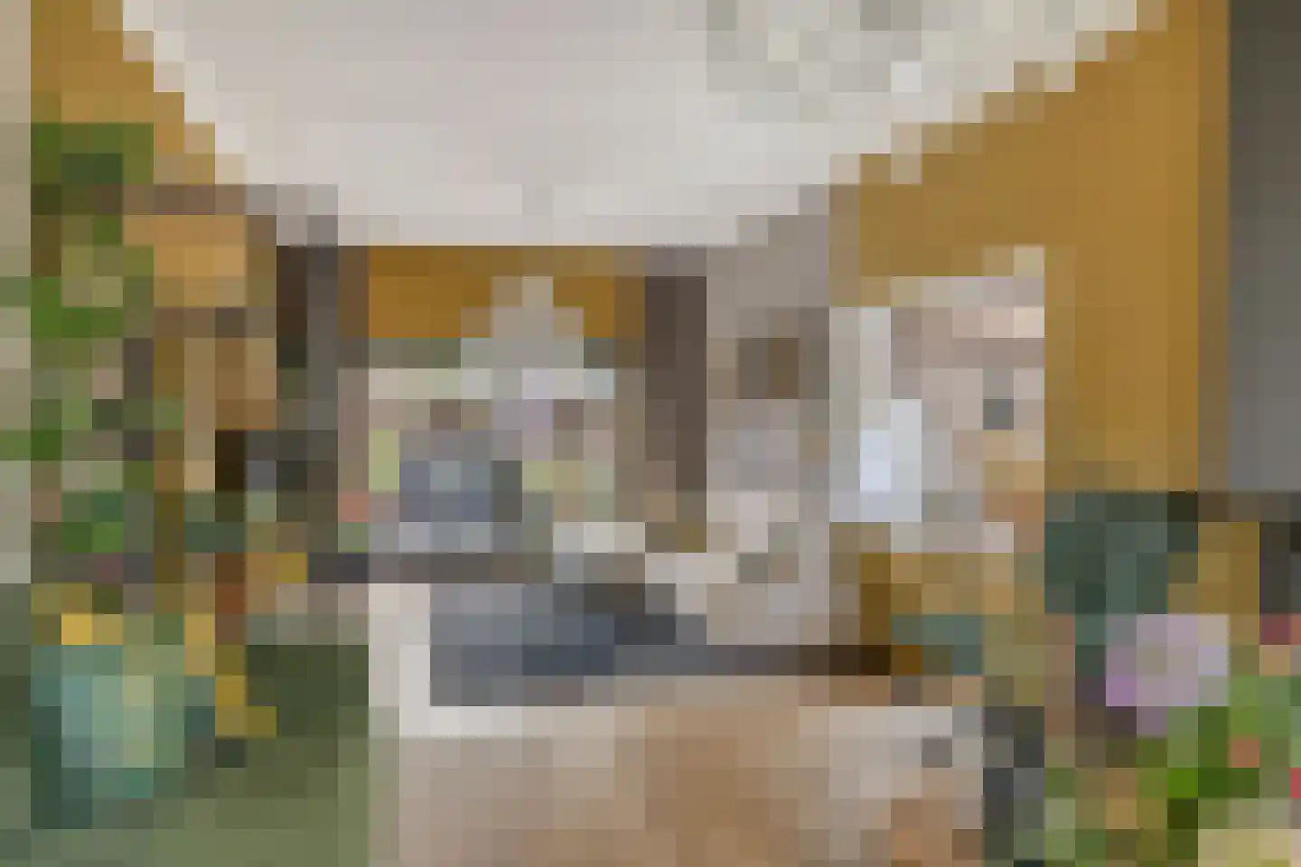 Hoolstraat 35 Teteringen thumbnail 14
