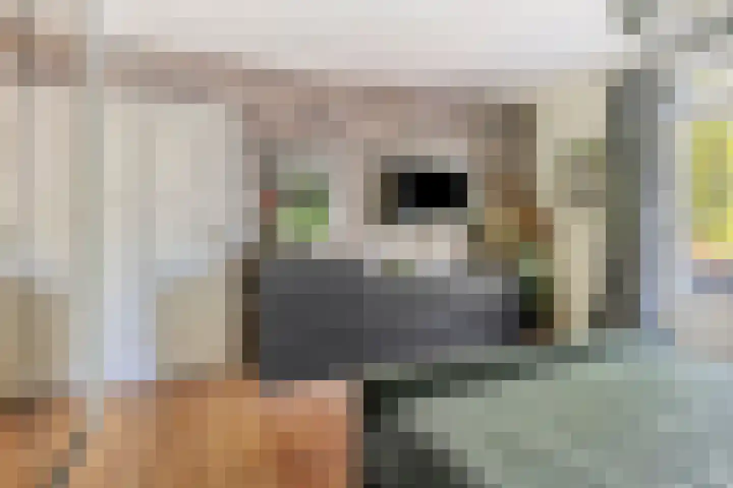 Hoolstraat 35 Teteringen thumbnail 36