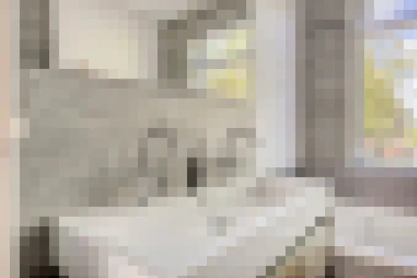 Hoolstraat 35 Teteringen thumbnail 39
