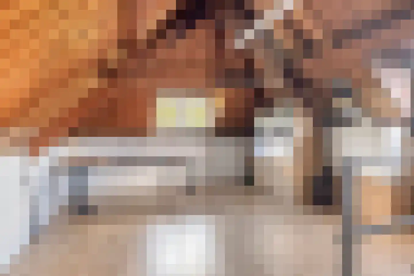 Hoolstraat 35 Teteringen thumbnail 47