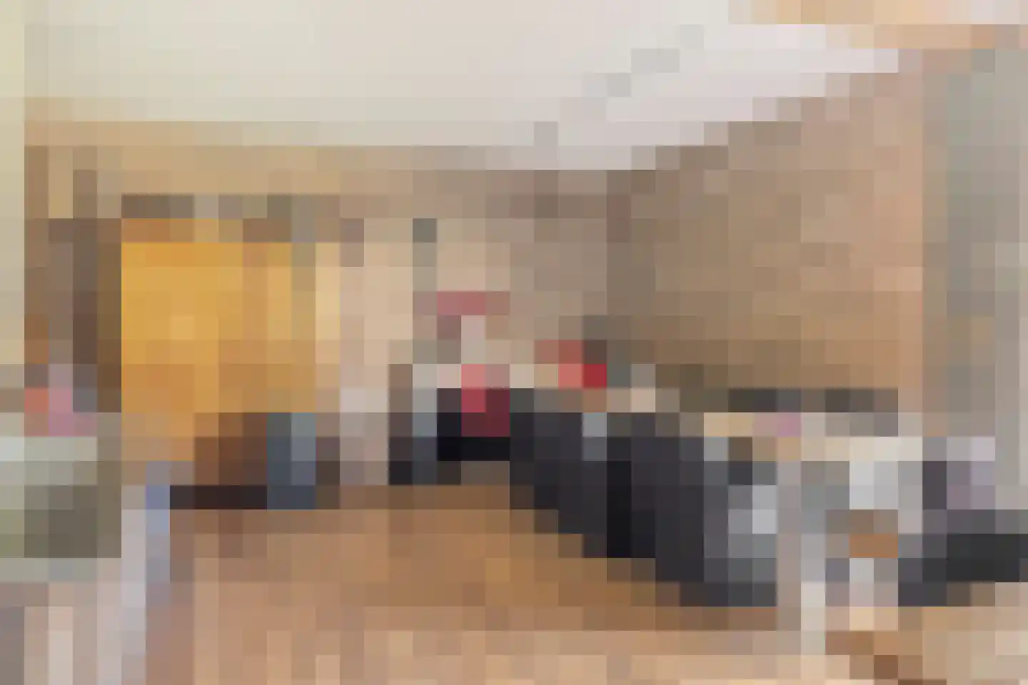 Hoolstraat 35 Teteringen thumbnail 51