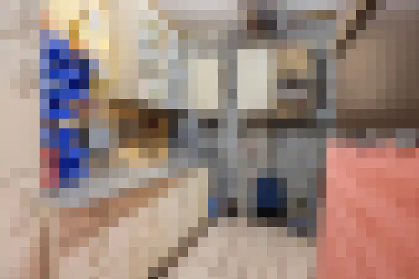 Hoolstraat 35 Teteringen thumbnail 54