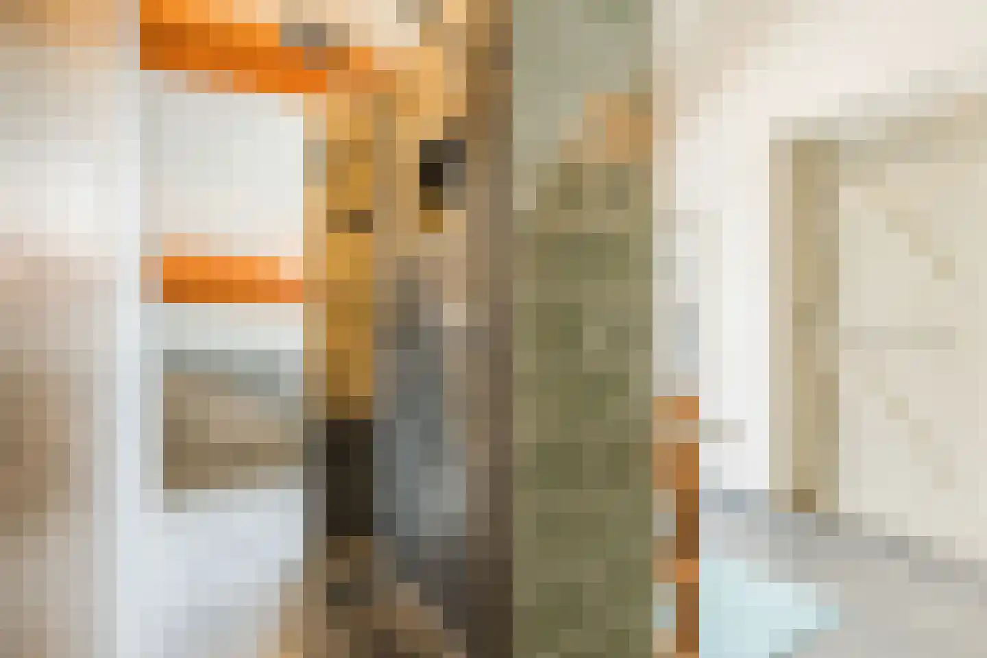 Hoolstraat 40 Teteringen thumbnail 33