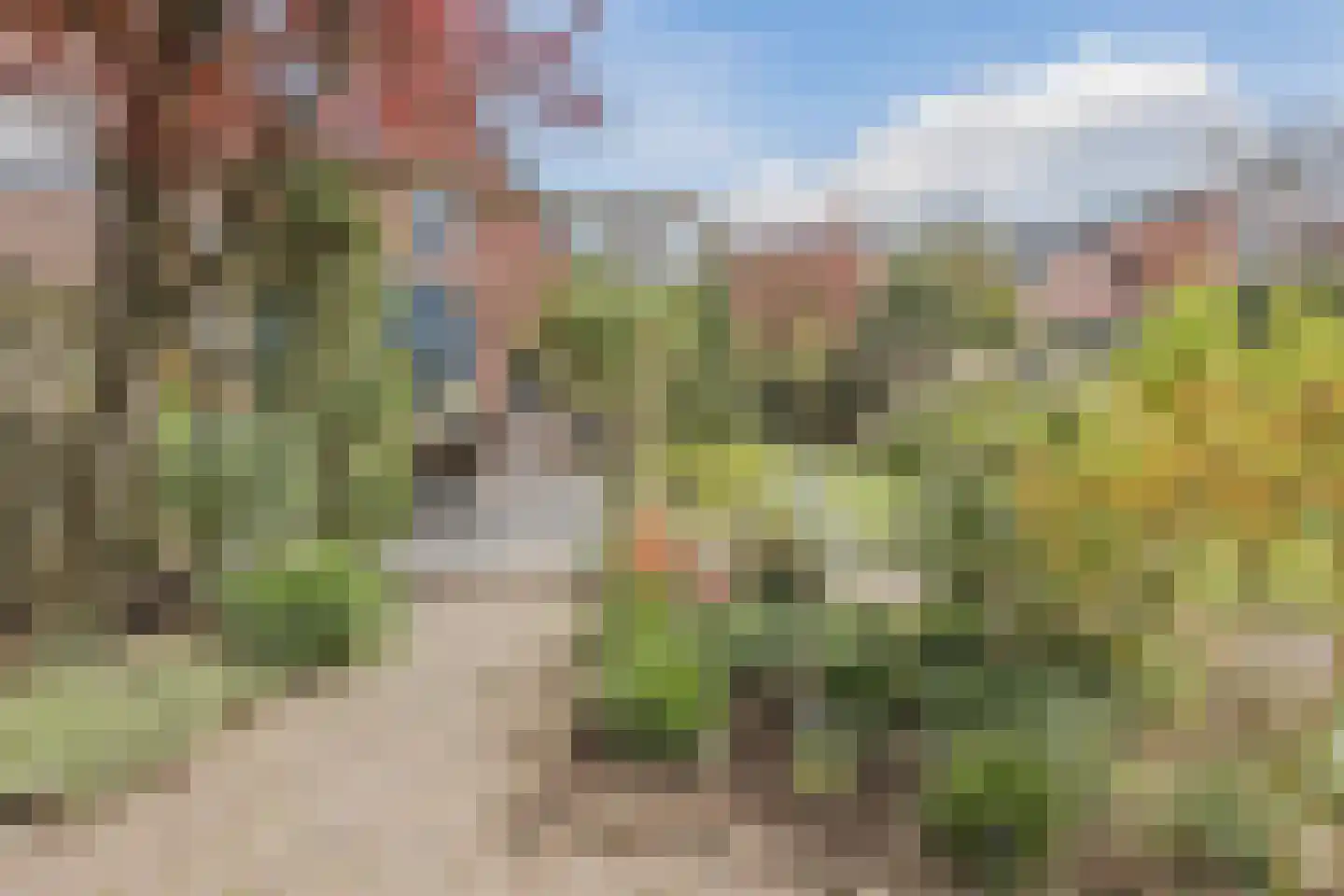 Hoolstraat 40 Teteringen thumbnail 43