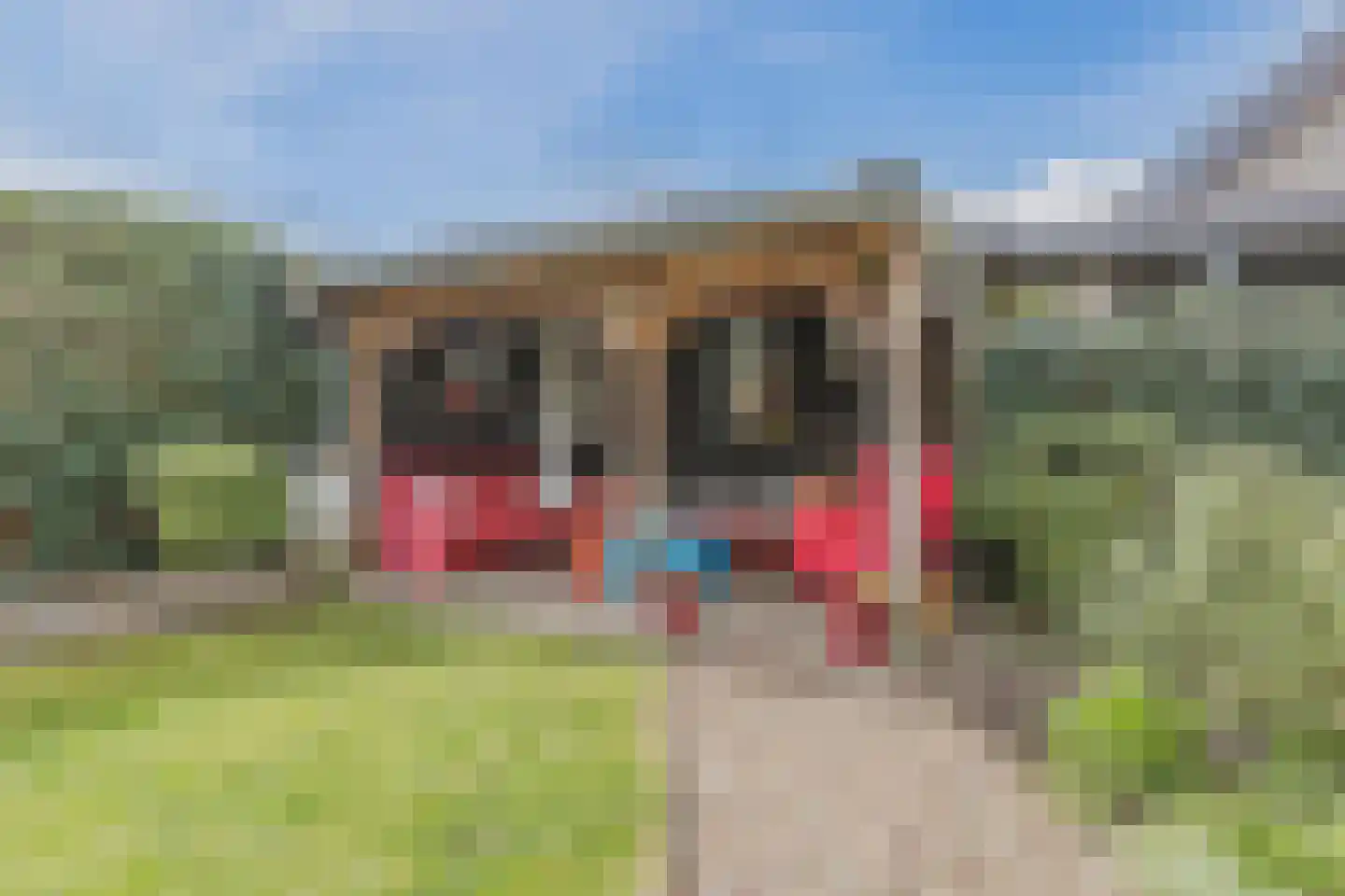 Hoolstraat 40 Teteringen thumbnail 54