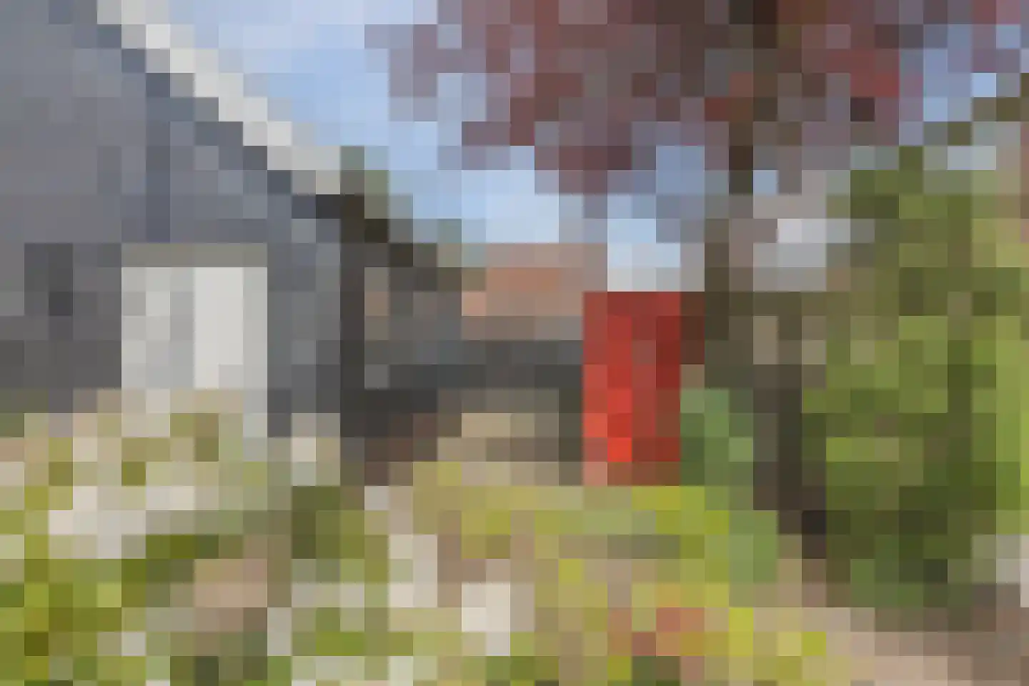 Hoolstraat 40 Teteringen thumbnail 55