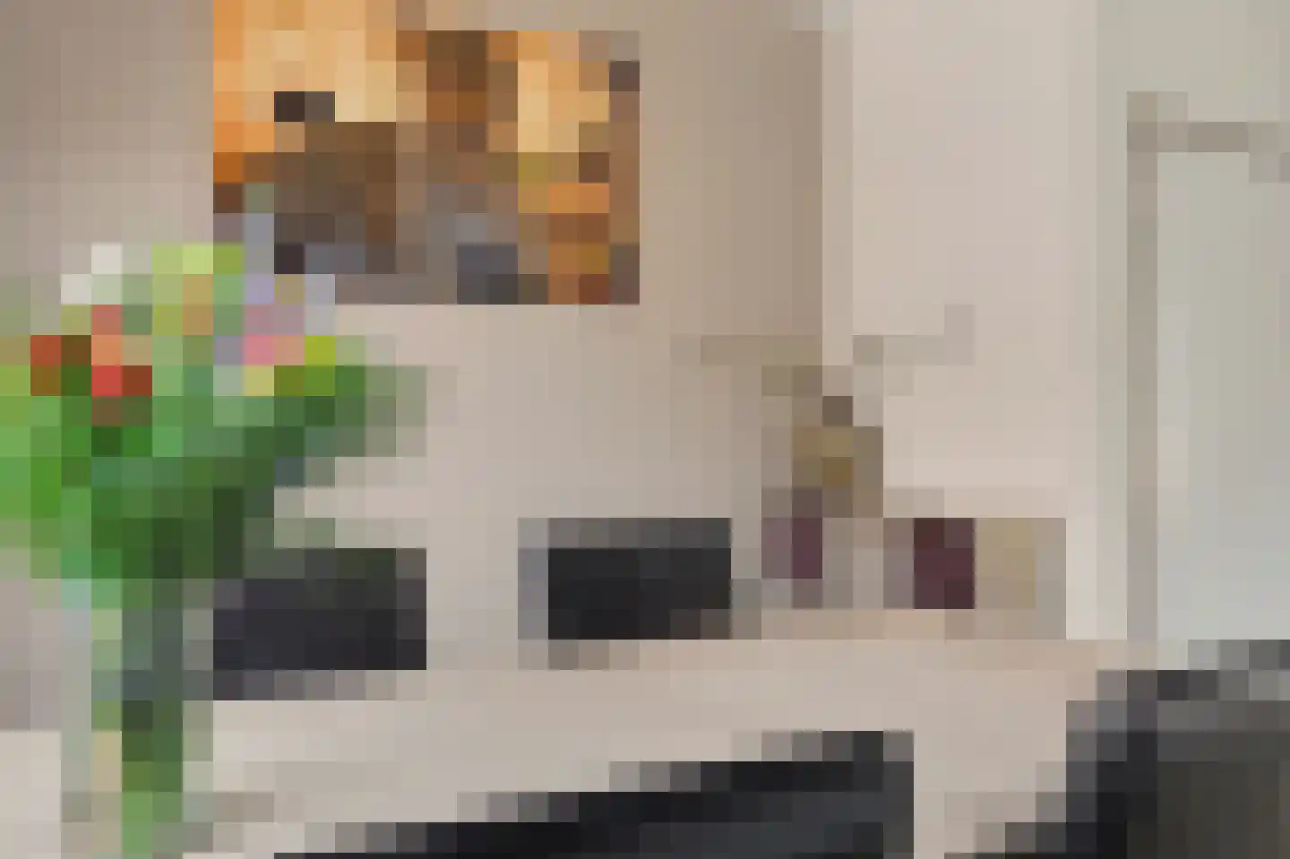 Hoolstraat 53 Eersel thumbnail 13