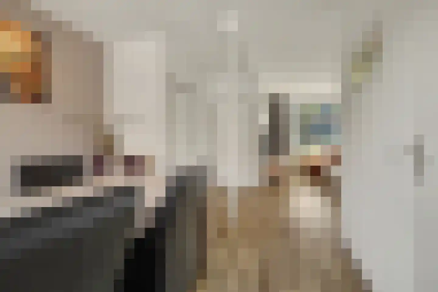 Hoolstraat 53 Eersel thumbnail 14