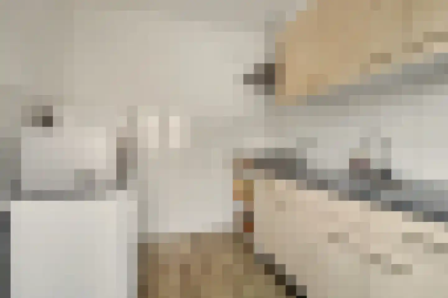 Hoolstraat 53 Eersel thumbnail 16
