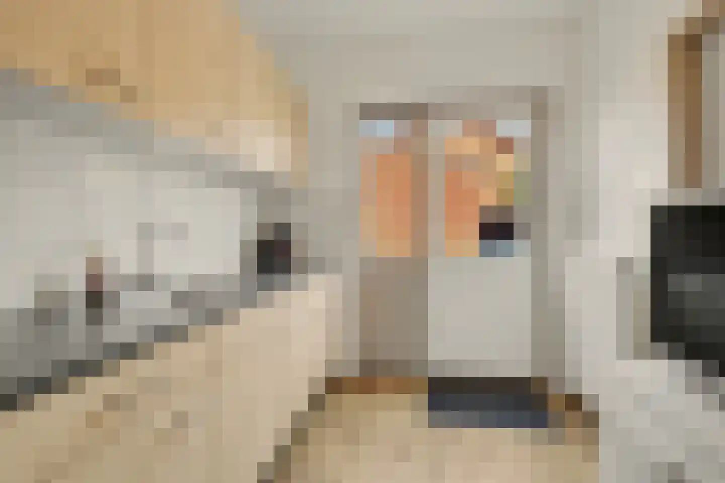 Hoolstraat 53 Eersel thumbnail 17