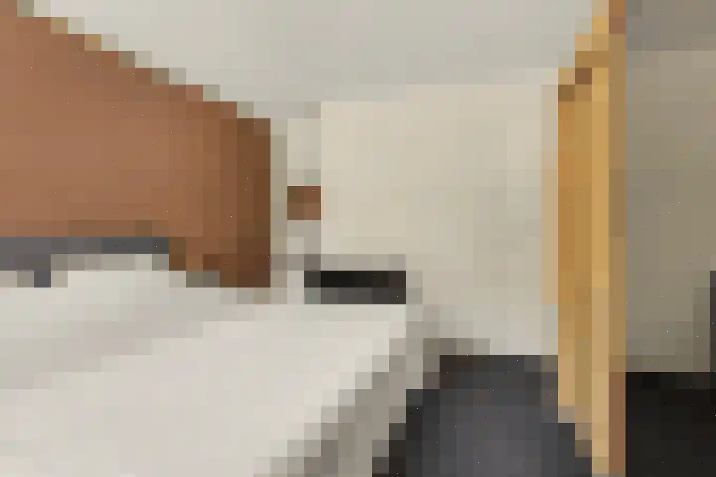 Hoolstraat 53 Eersel thumbnail 20
