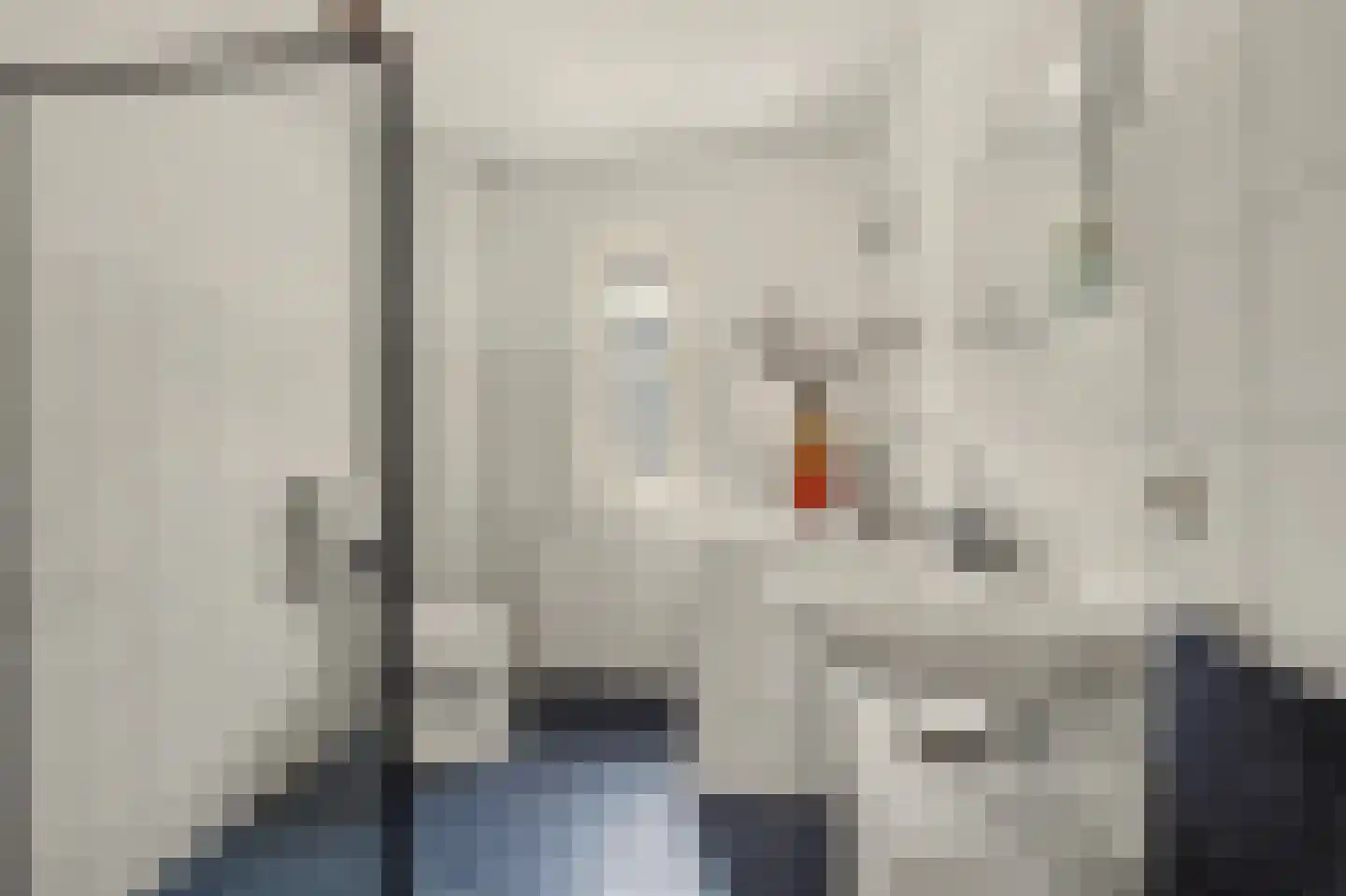 Hoolstraat 53 Eersel thumbnail 25