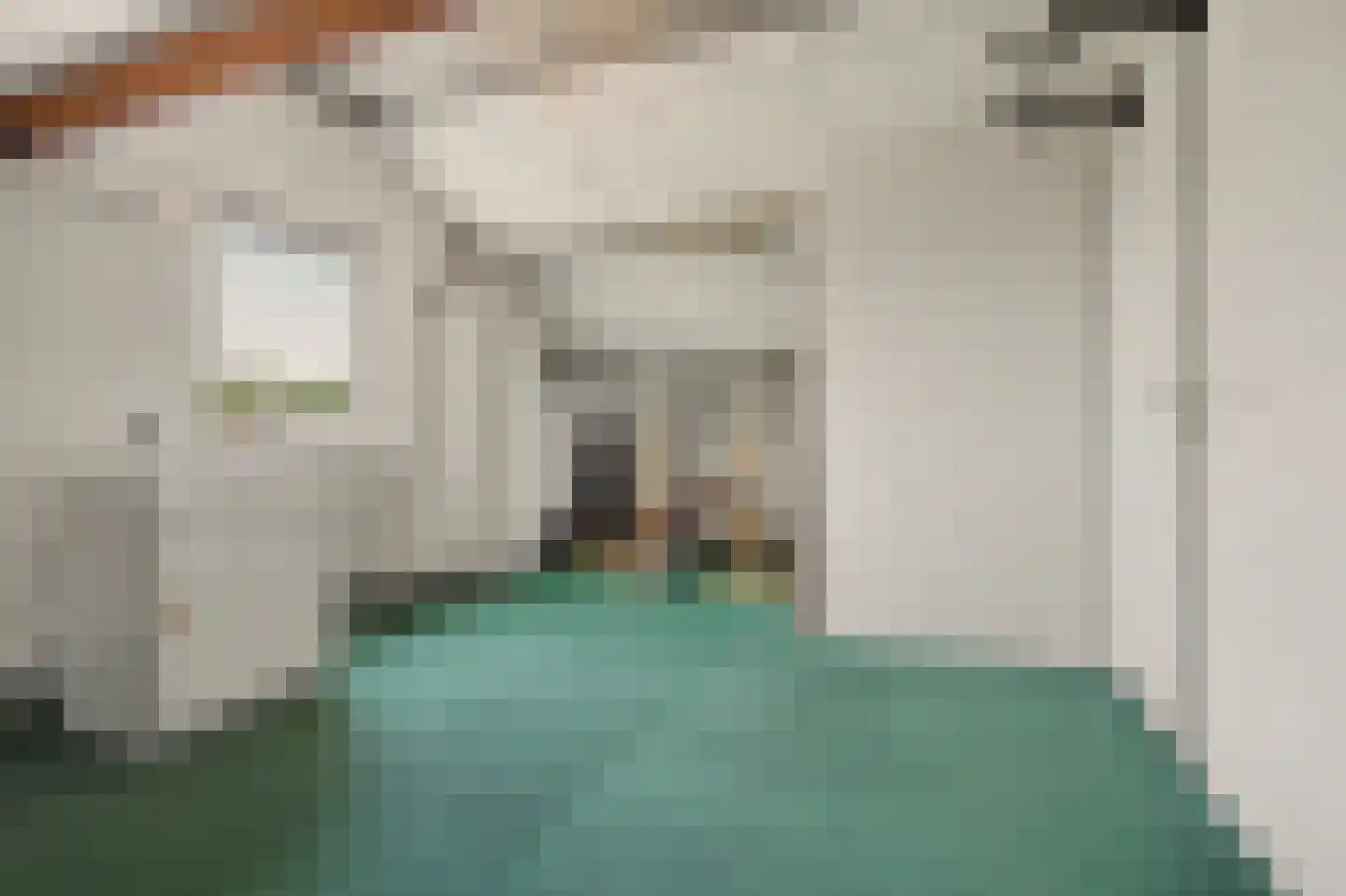 Hoolstraat 53 Eersel thumbnail 29
