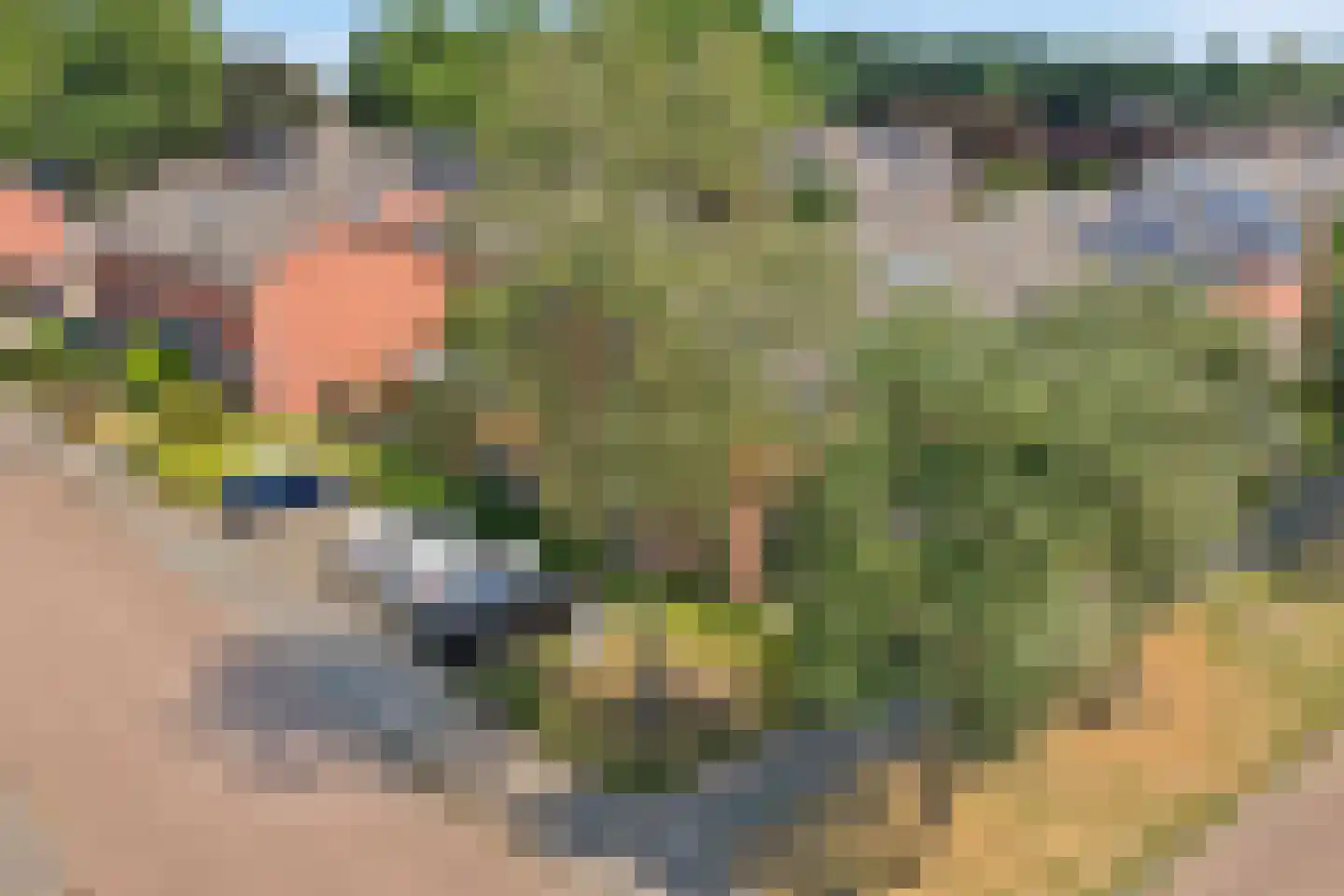 Hoolstraat 53 Eersel thumbnail 38