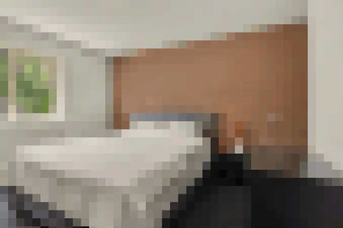 Hoolstraat 53 Eersel thumbnail 4