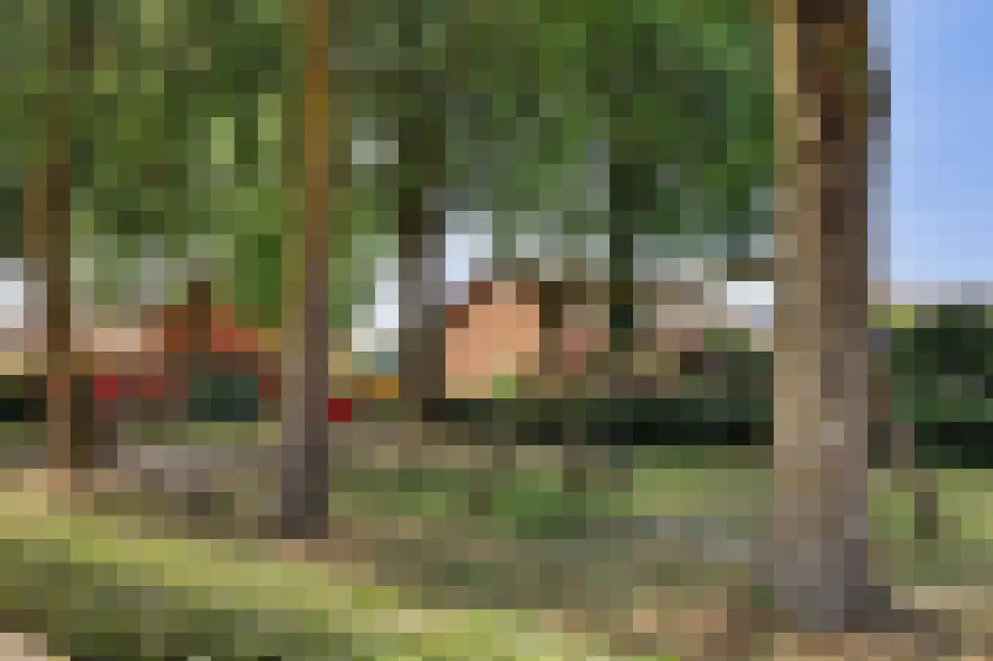 Hoolstraat 53 Eersel thumbnail 41