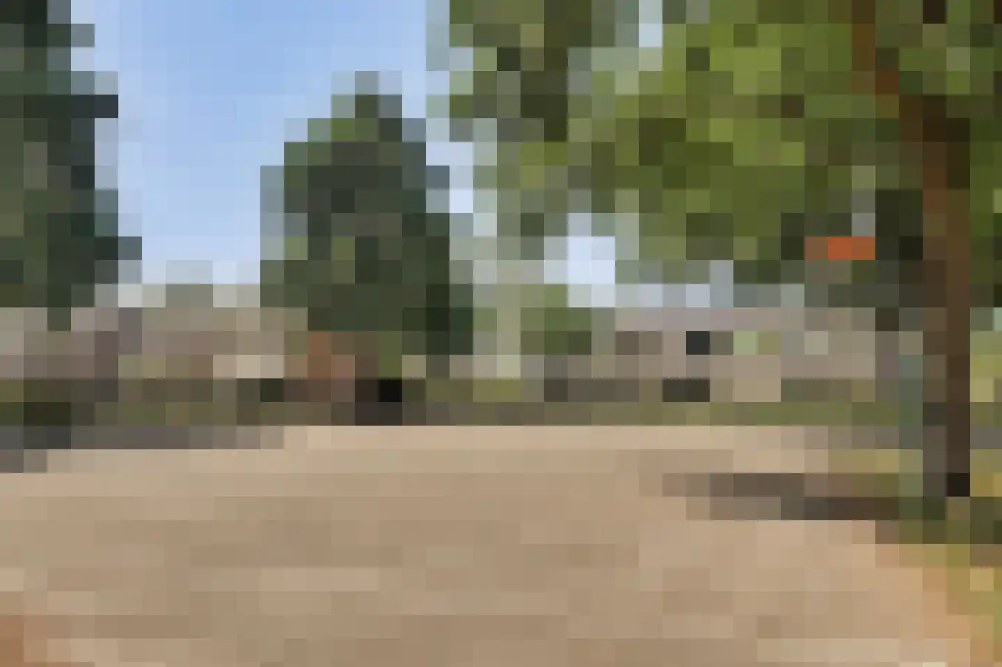 Hoolstraat 53 Eersel thumbnail 43