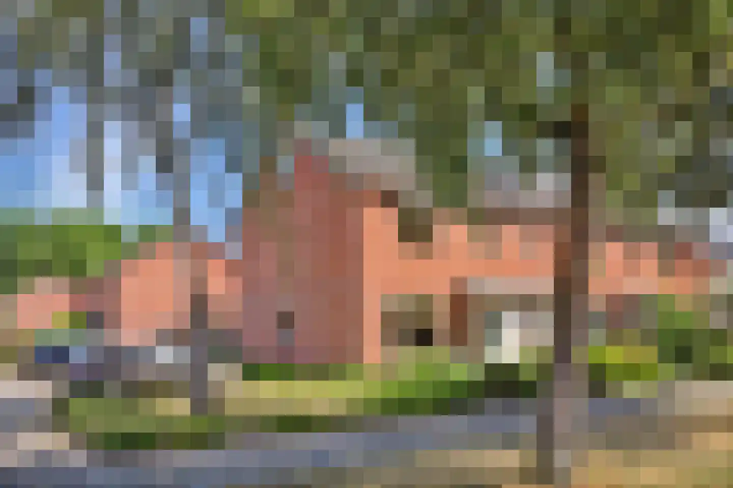 Hoolstraat 53 Eersel thumbnail 5