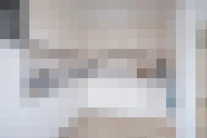 Hoolstraat 67 Eersel thumbnail 13