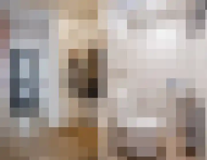 Hoolstraat 67 Eersel thumbnail 14