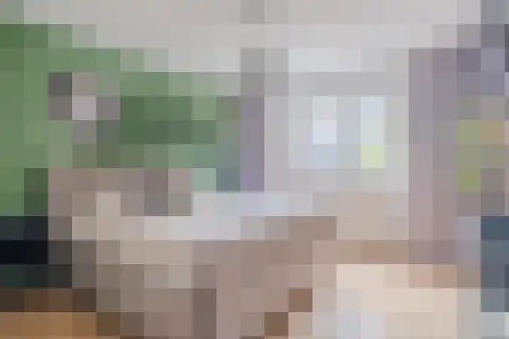 Hoolstraat 67 Eersel thumbnail 15