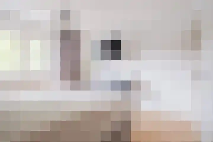 Hoolstraat 67 Eersel thumbnail 17