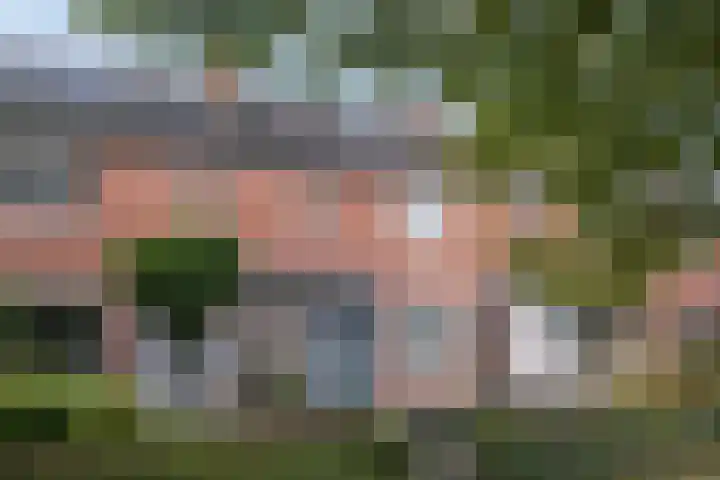 Hoolstraat 67 Eersel foto 2