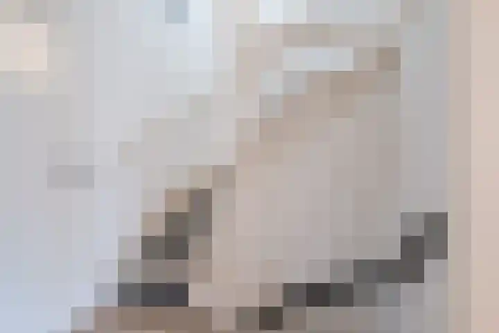 Hoolstraat 67 Eersel thumbnail 23