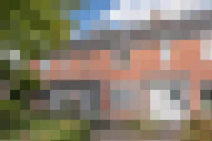 Hoolstraat 67 Eersel foto 3