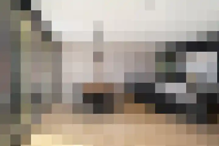 Hoolstraat 67 Eersel thumbnail 34