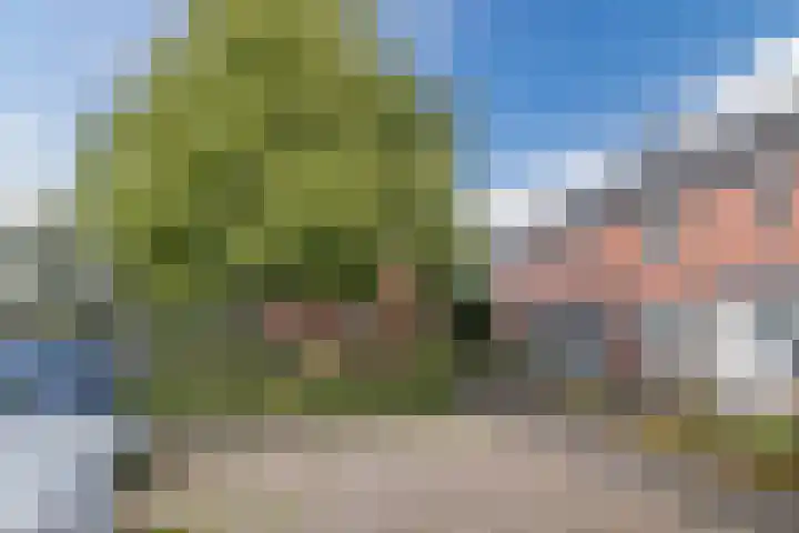 Hoolstraat 67 Eersel thumbnail 34