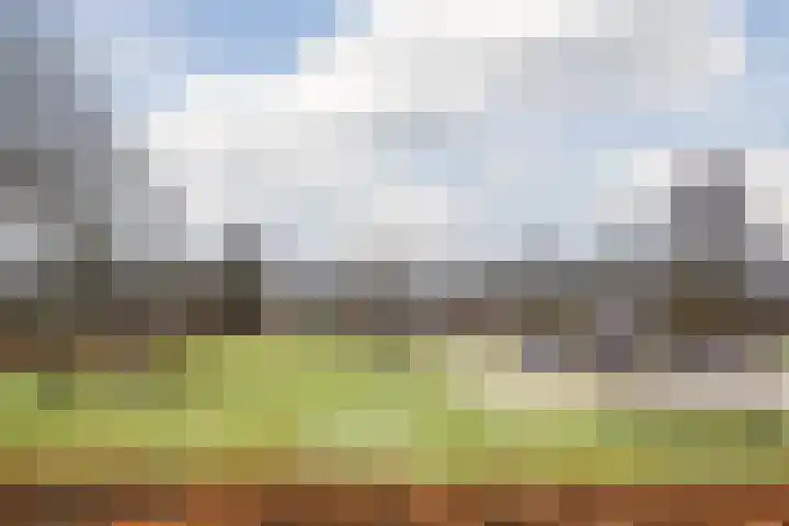 Hoolstraat 67 Eersel thumbnail 35