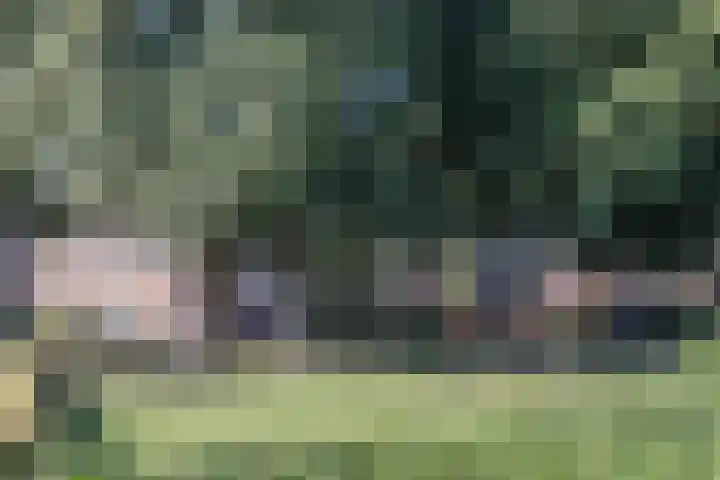 Hoolstraat 67 Eersel thumbnail 37