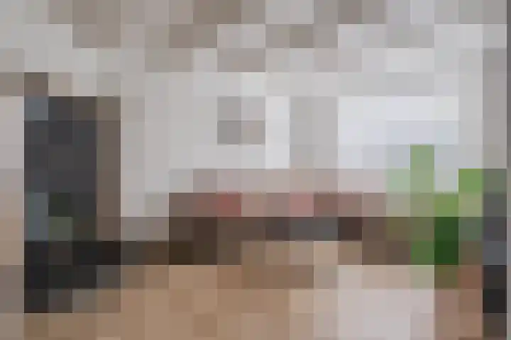 Hoolstraat 67 Eersel thumbnail 4