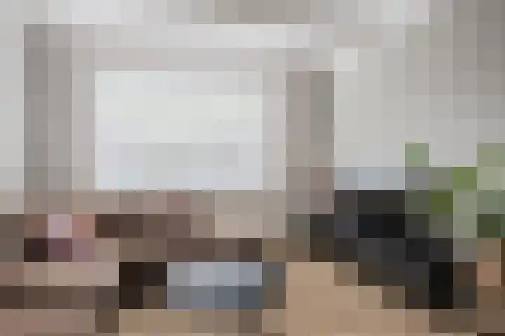 Hoolstraat 67 Eersel thumbnail 5