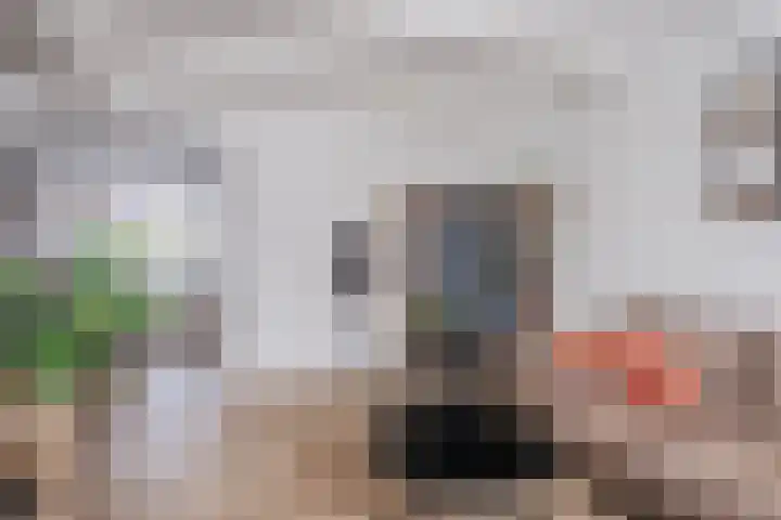 Hoolstraat 67 Eersel thumbnail 6