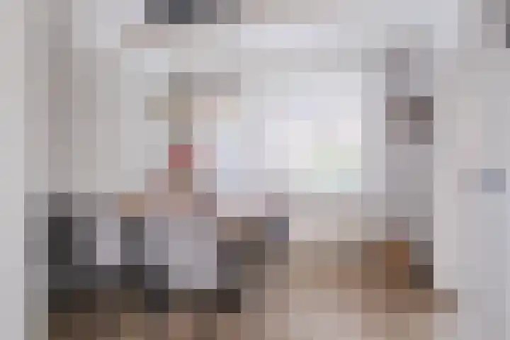 Hoolstraat 67 Eersel thumbnail 8