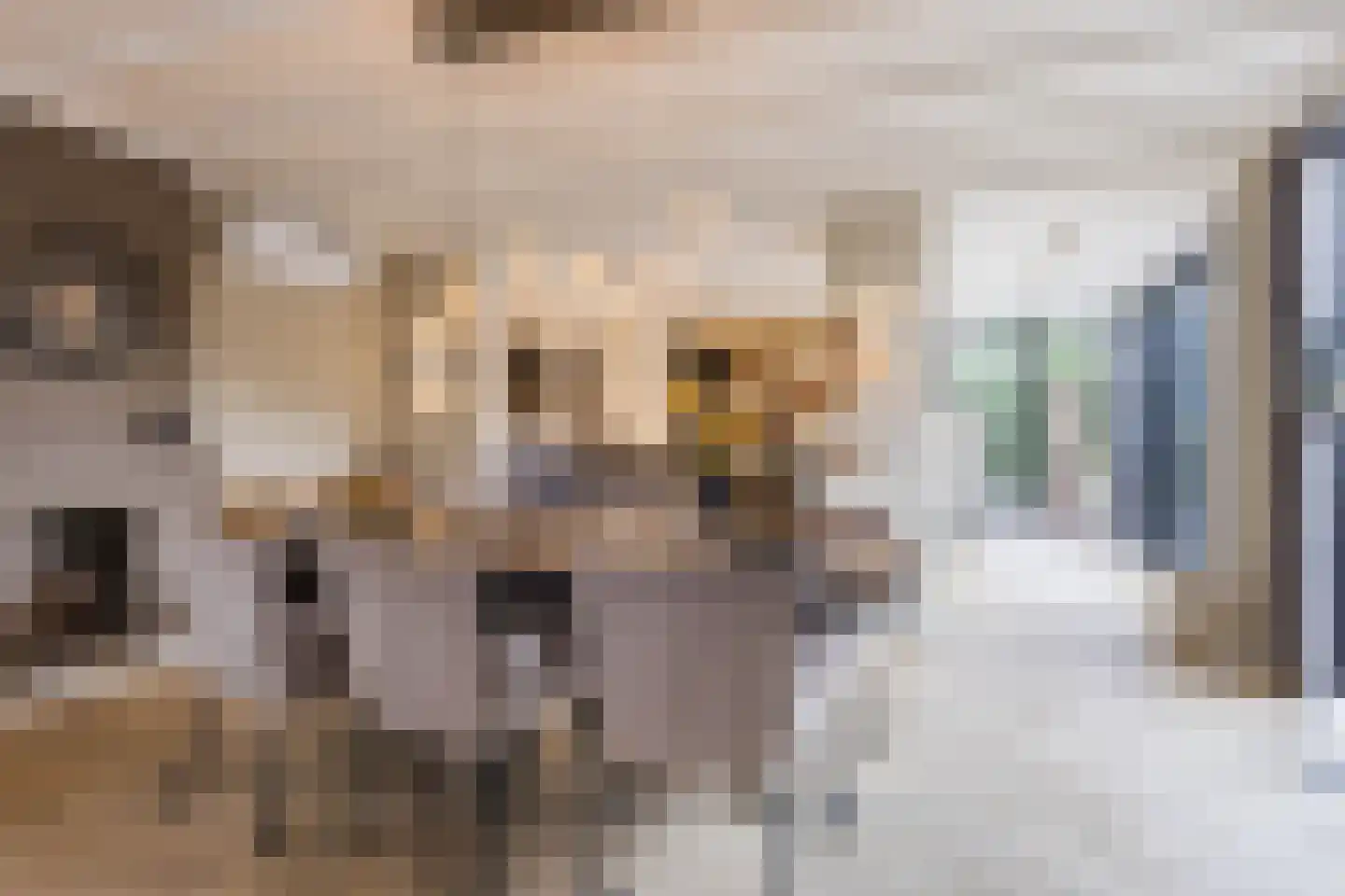 Hoolstraat 81 Teteringen thumbnail 10