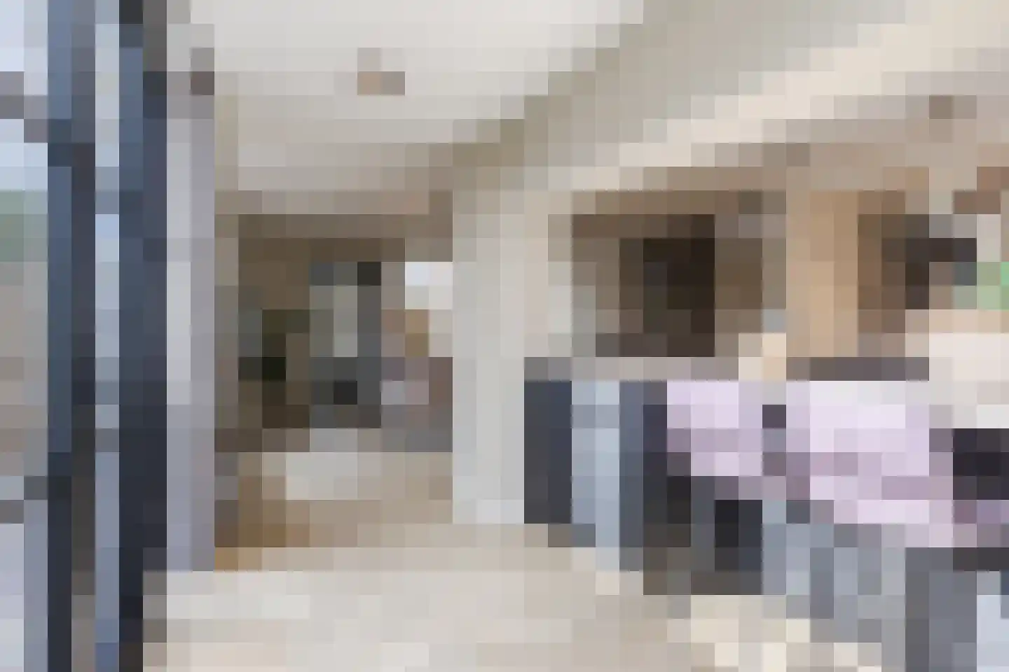 Hoolstraat 81 Teteringen thumbnail 11