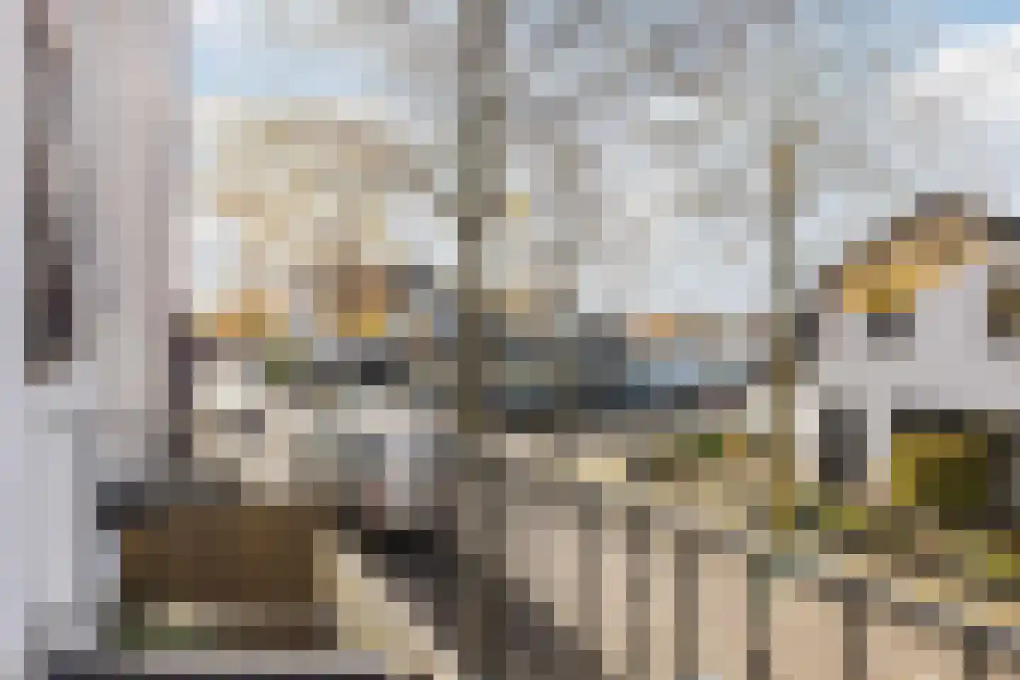 Hoolstraat 81 Teteringen thumbnail 27