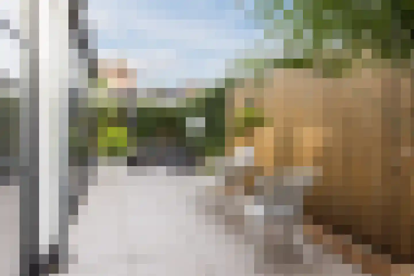 Hoolstraat 81 Teteringen thumbnail 34