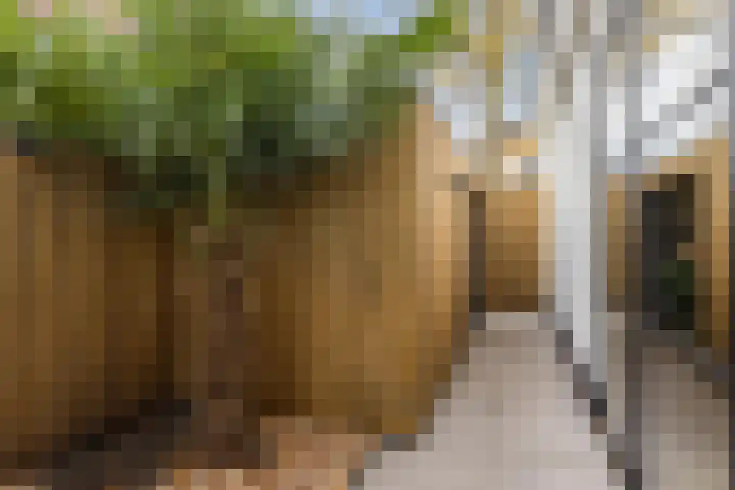 Hoolstraat 81 Teteringen thumbnail 35