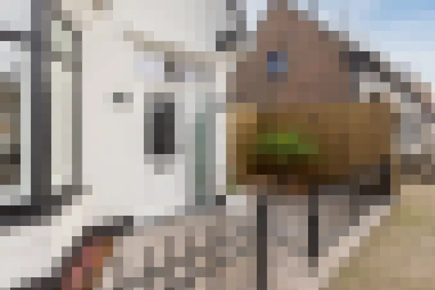 Hoolstraat 81 Teteringen thumbnail 4