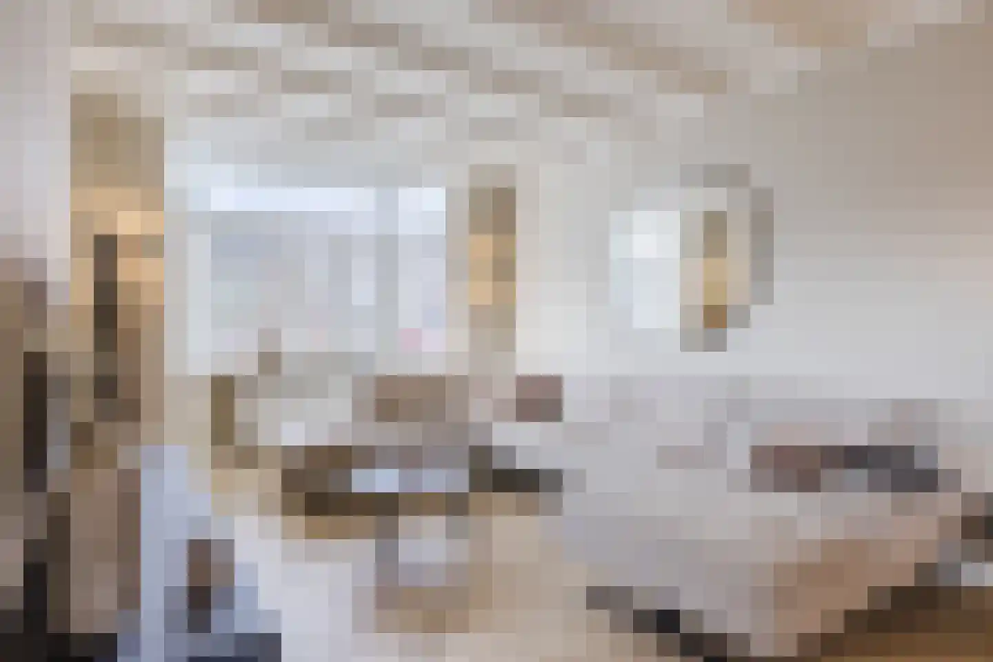 Hoolstraat 81 Teteringen thumbnail 7