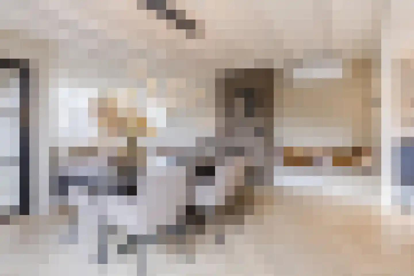 Hoolstraat 81 Teteringen thumbnail 9