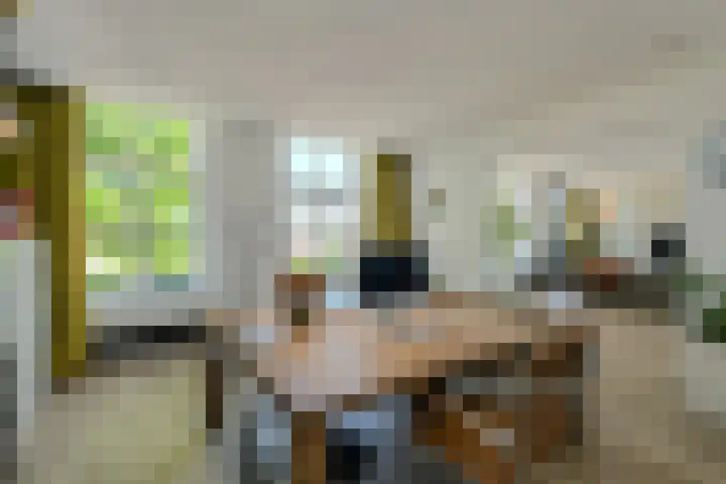 Hoolstraat 86 Teteringen thumbnail 19